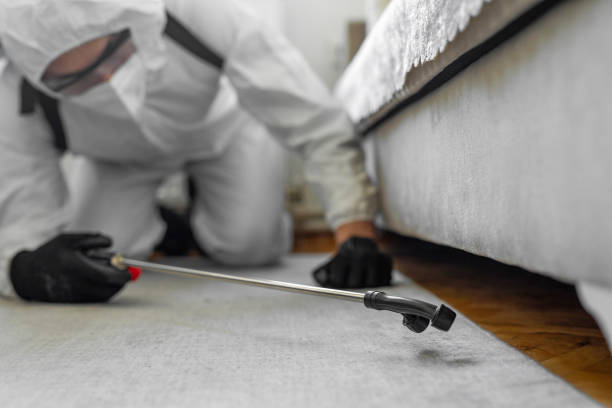 Professional Bed Bug Control technician working in Mullins, SC